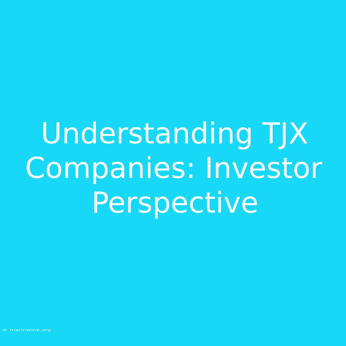 Understanding TJX Companies: Investor Perspective 