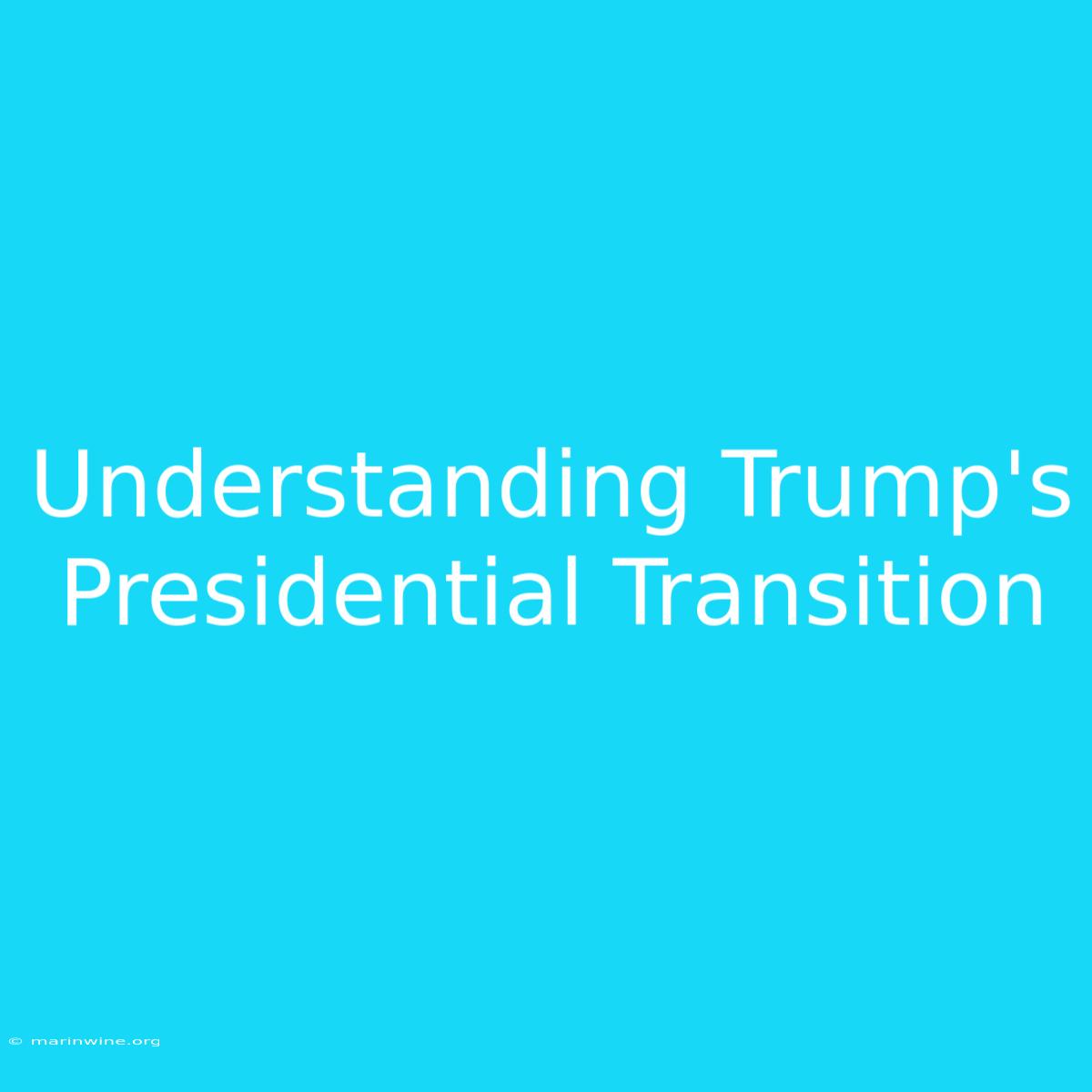 Understanding Trump's Presidential Transition 