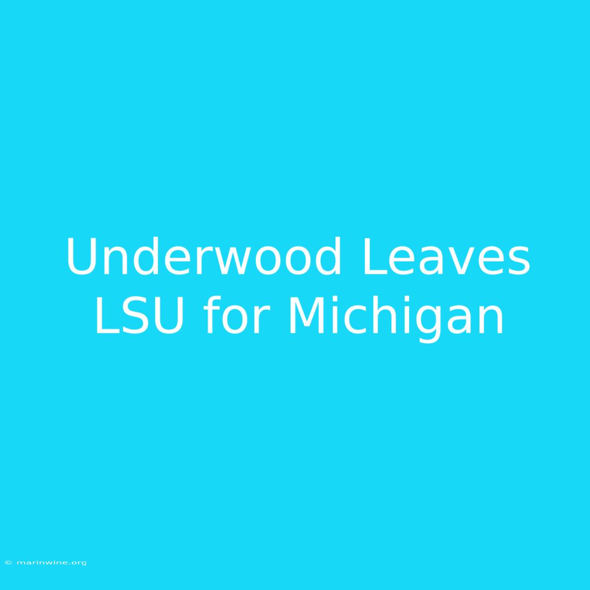 Underwood Leaves LSU For Michigan