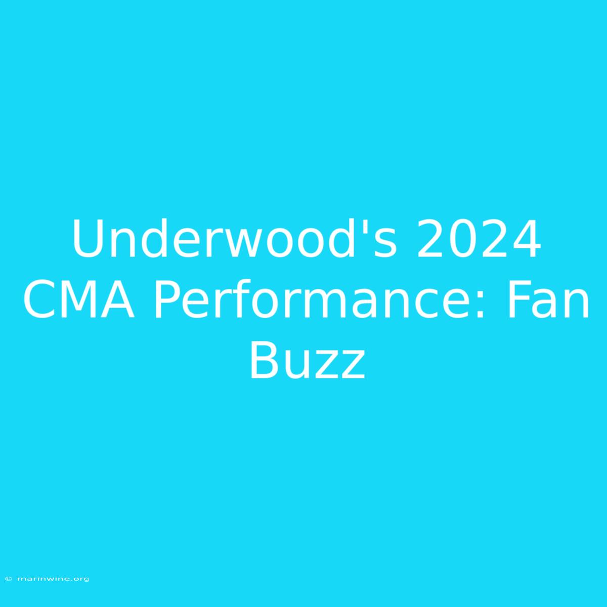 Underwood's 2024 CMA Performance: Fan Buzz