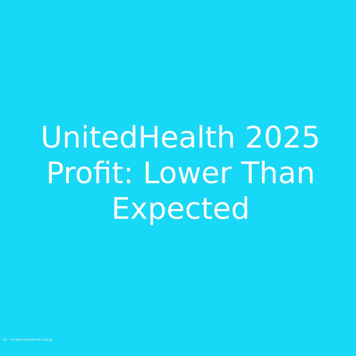 UnitedHealth 2025 Profit: Lower Than Expected