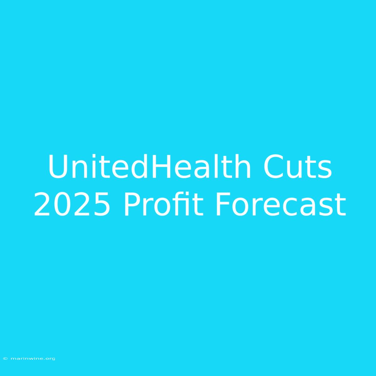 UnitedHealth Cuts 2025 Profit Forecast