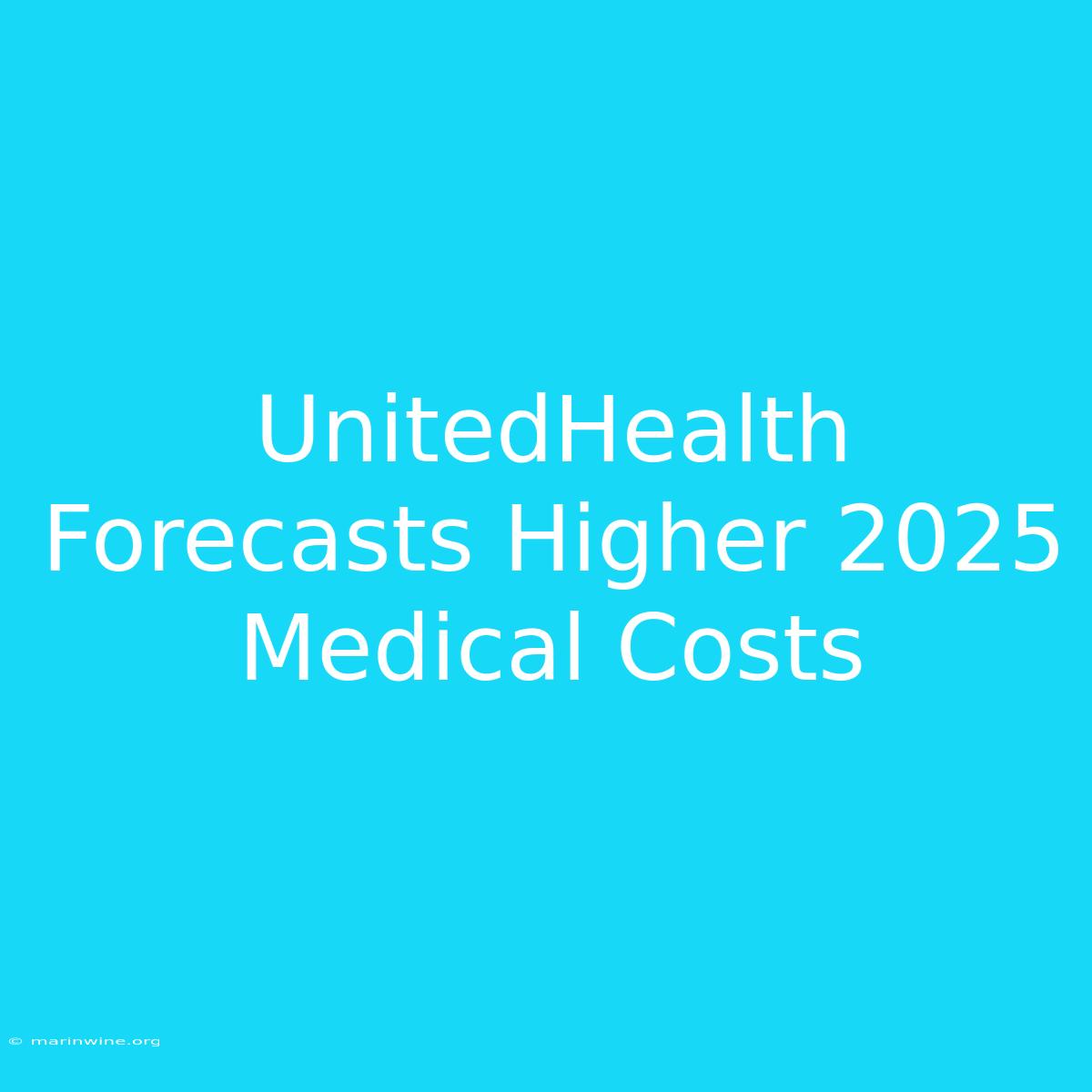 UnitedHealth Forecasts Higher 2025 Medical Costs