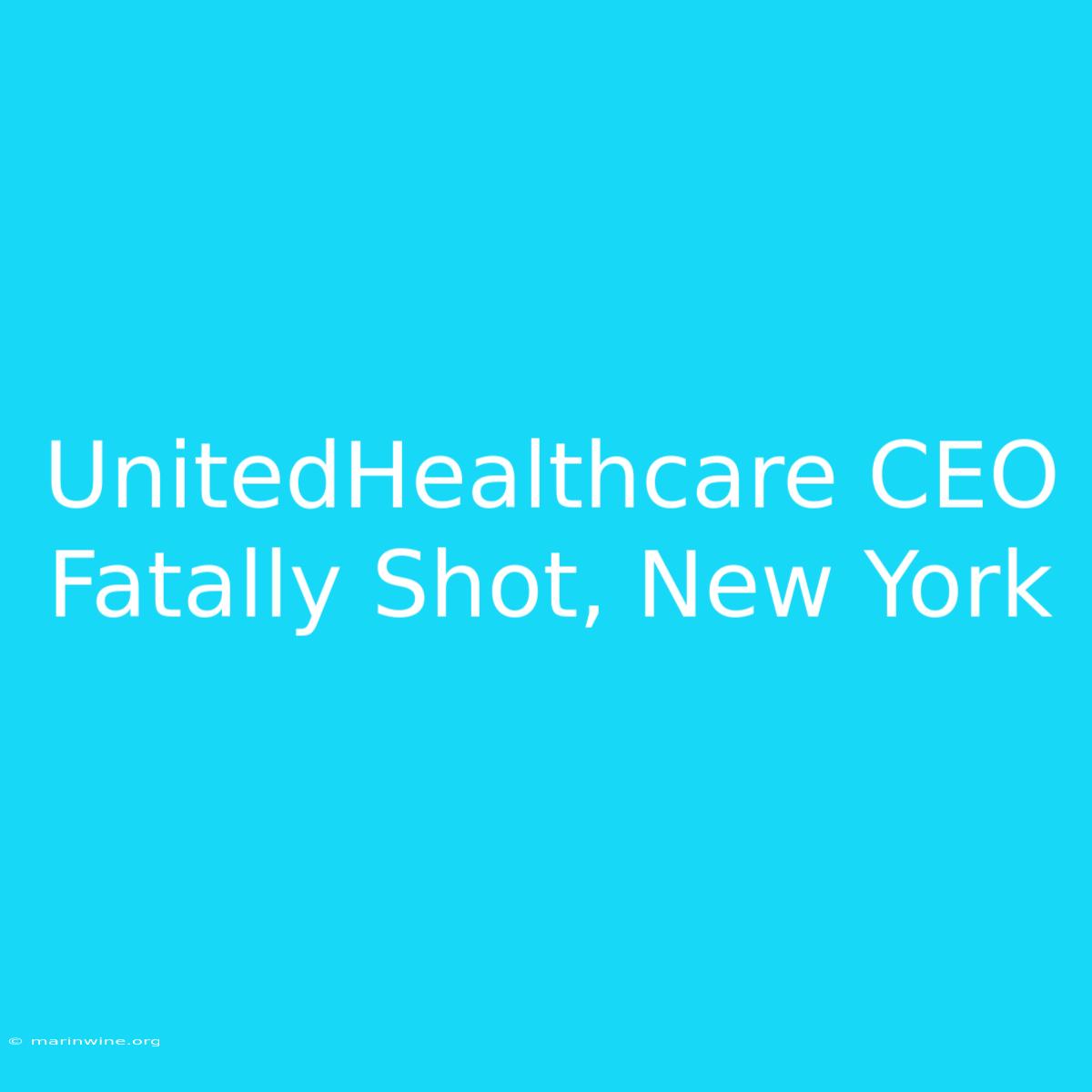 UnitedHealthcare CEO Fatally Shot, New York