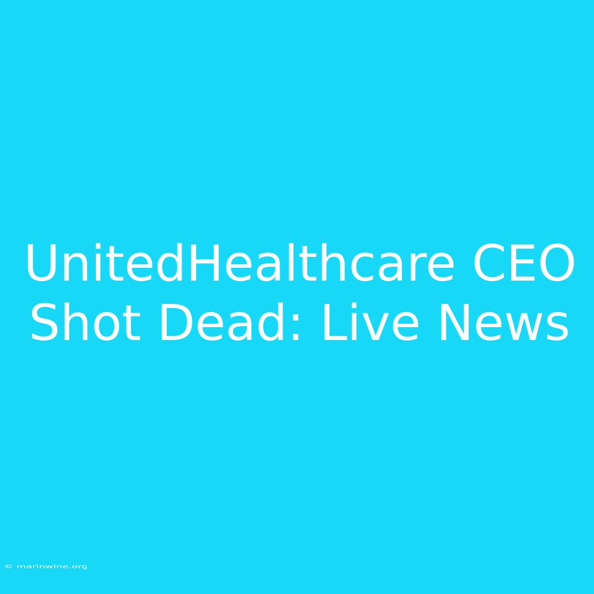 UnitedHealthcare CEO Shot Dead: Live News