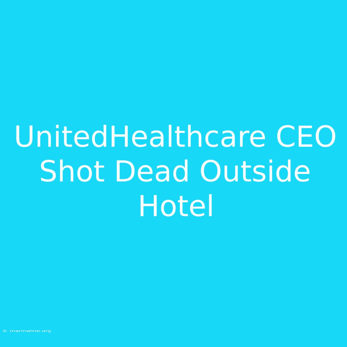 UnitedHealthcare CEO Shot Dead Outside Hotel