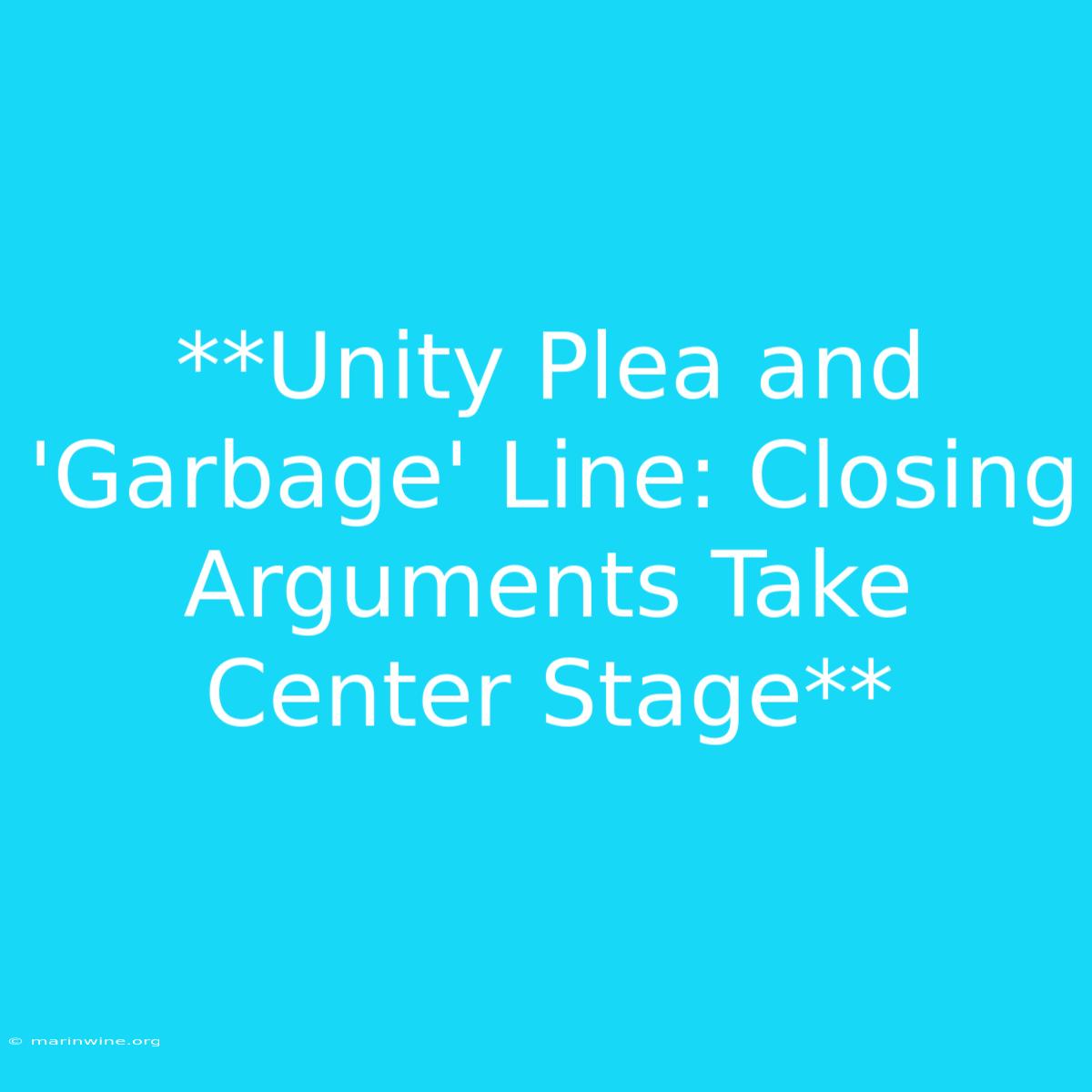 **Unity Plea And 'Garbage' Line: Closing Arguments Take Center Stage** 