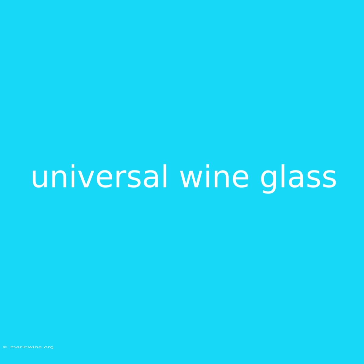 Universal Wine Glass