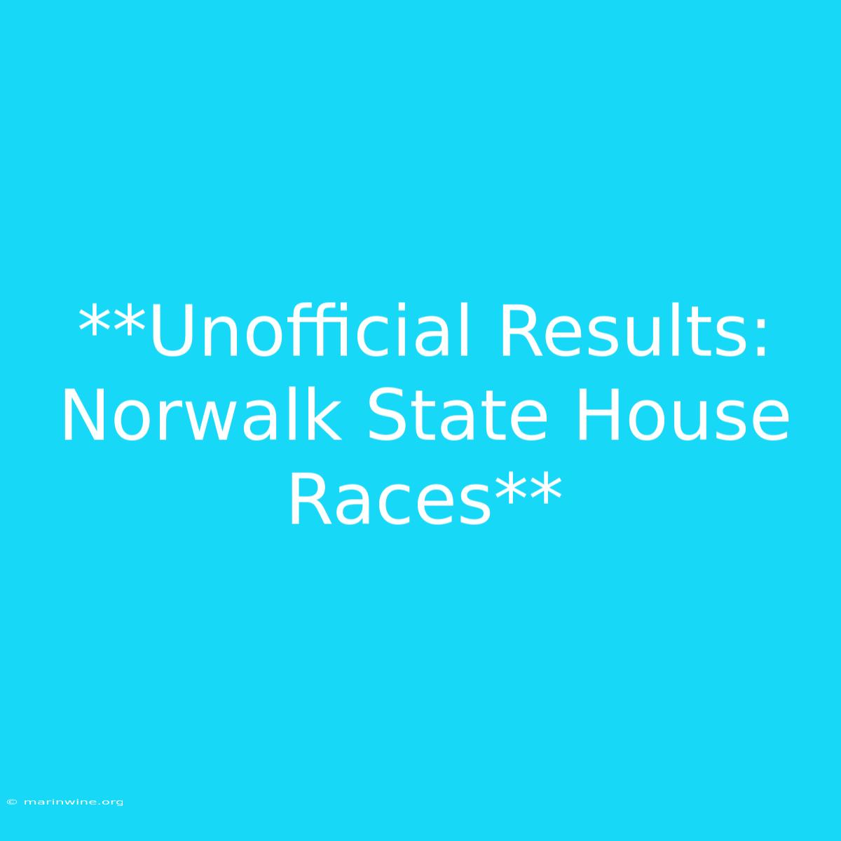 **Unofficial Results: Norwalk State House Races** 