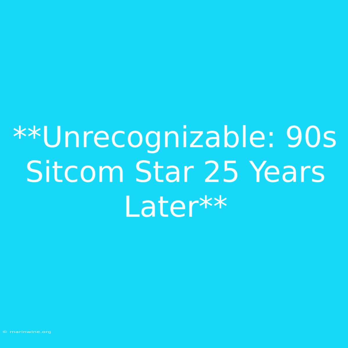 **Unrecognizable: 90s Sitcom Star 25 Years Later**