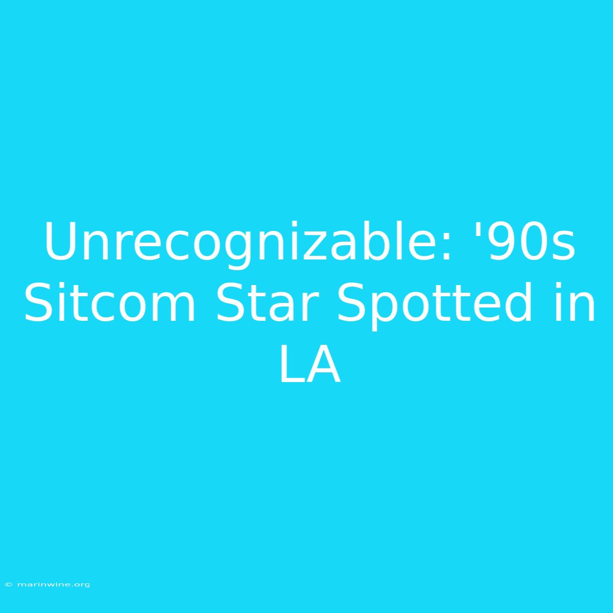 Unrecognizable: '90s Sitcom Star Spotted In LA 