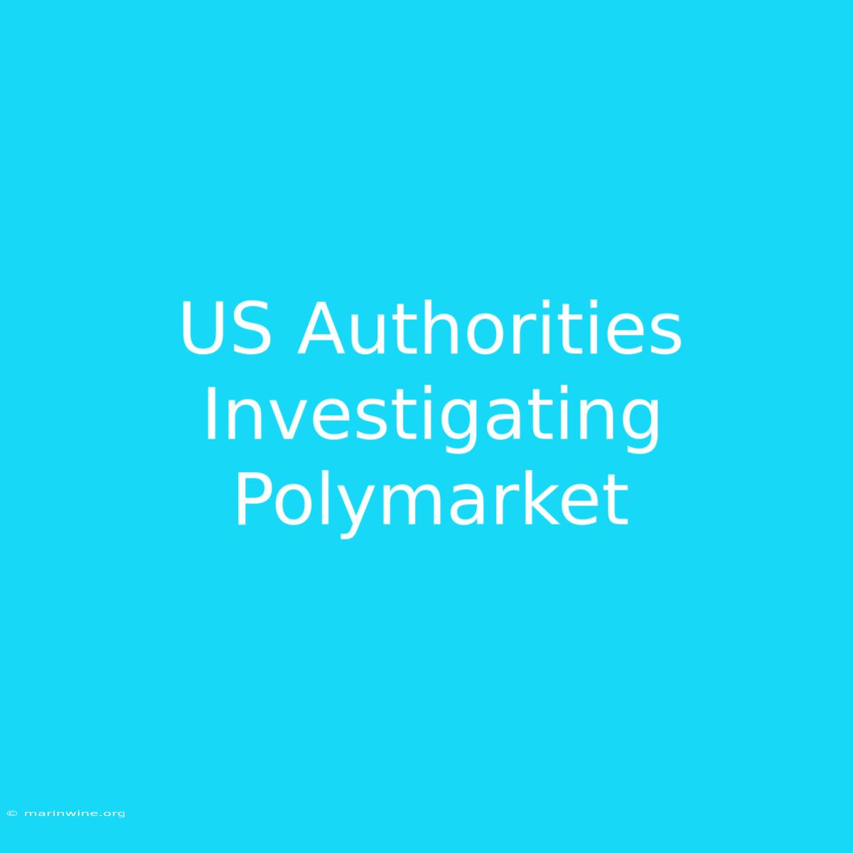 US Authorities Investigating Polymarket