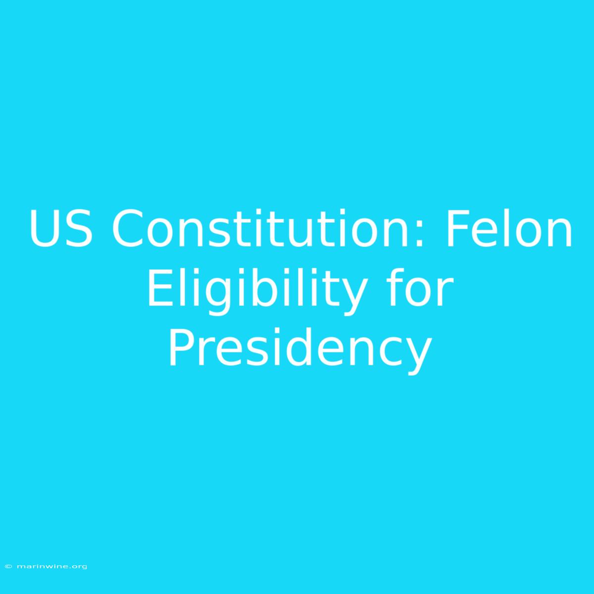 US Constitution: Felon Eligibility For Presidency 