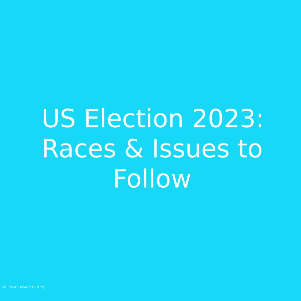 US Election 2023: Races & Issues To Follow 