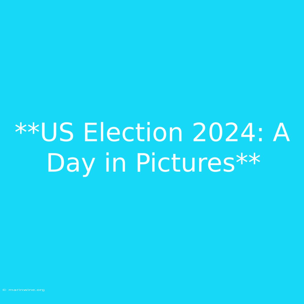 **US Election 2024: A Day In Pictures**