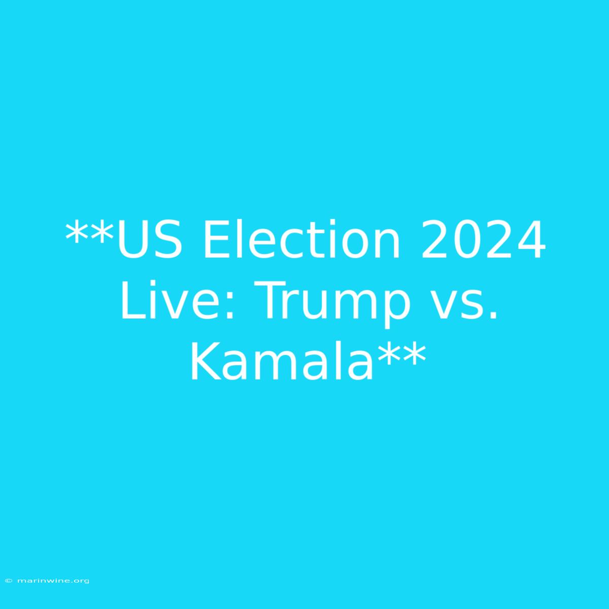 **US Election 2024 Live: Trump Vs. Kamala**