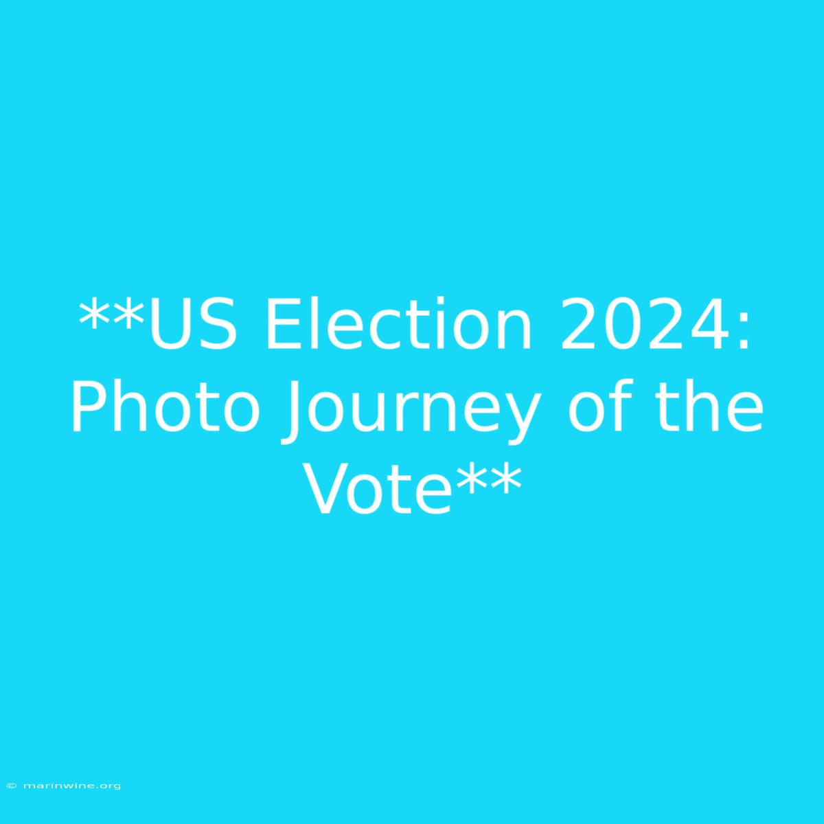 **US Election 2024: Photo Journey Of The Vote** 