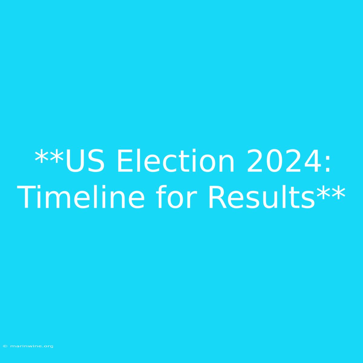 **US Election 2024: Timeline For Results** 