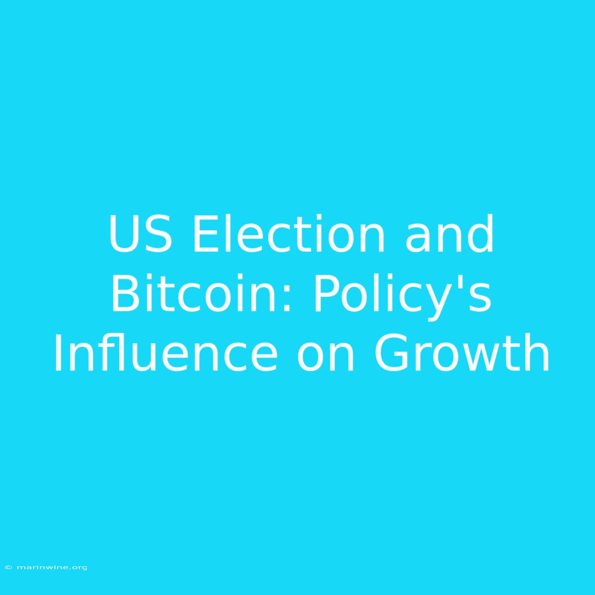 US Election And Bitcoin: Policy's Influence On Growth