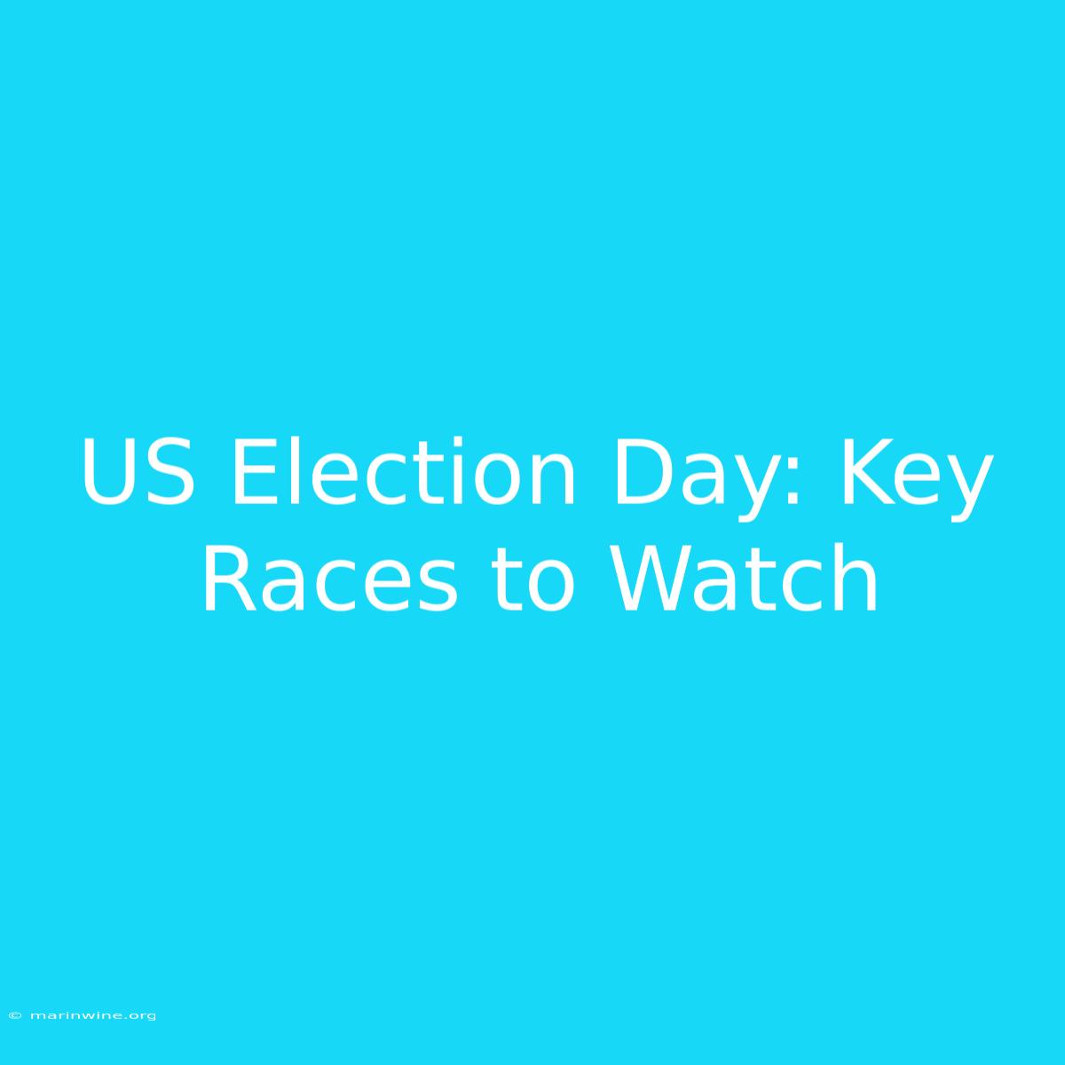 US Election Day: Key Races To Watch