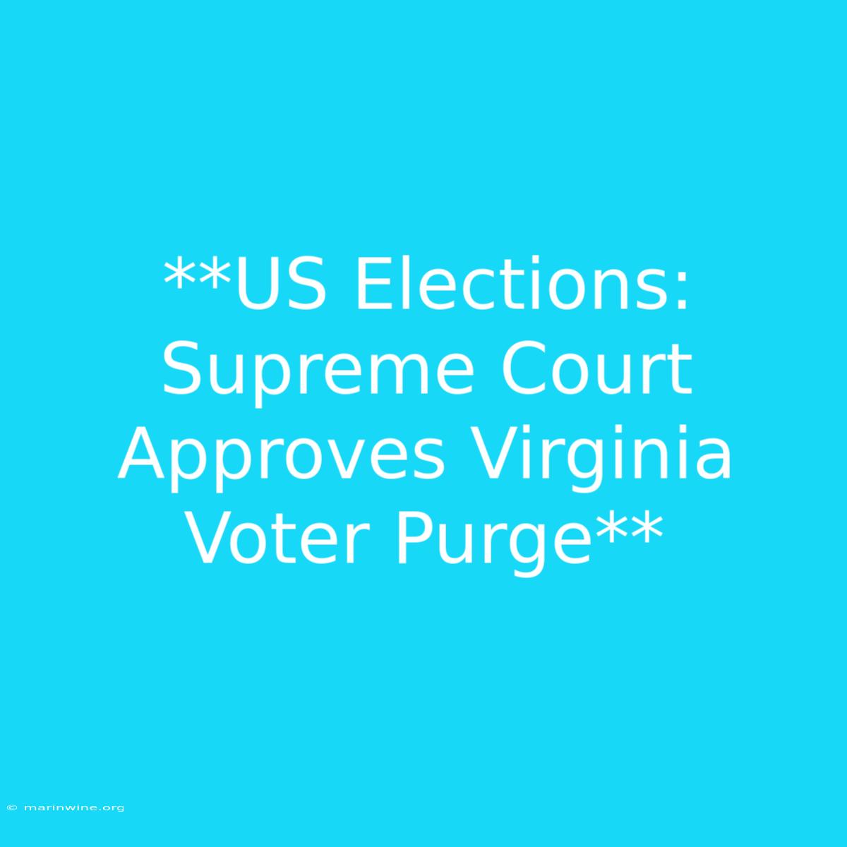 **US Elections: Supreme Court Approves Virginia Voter Purge** 