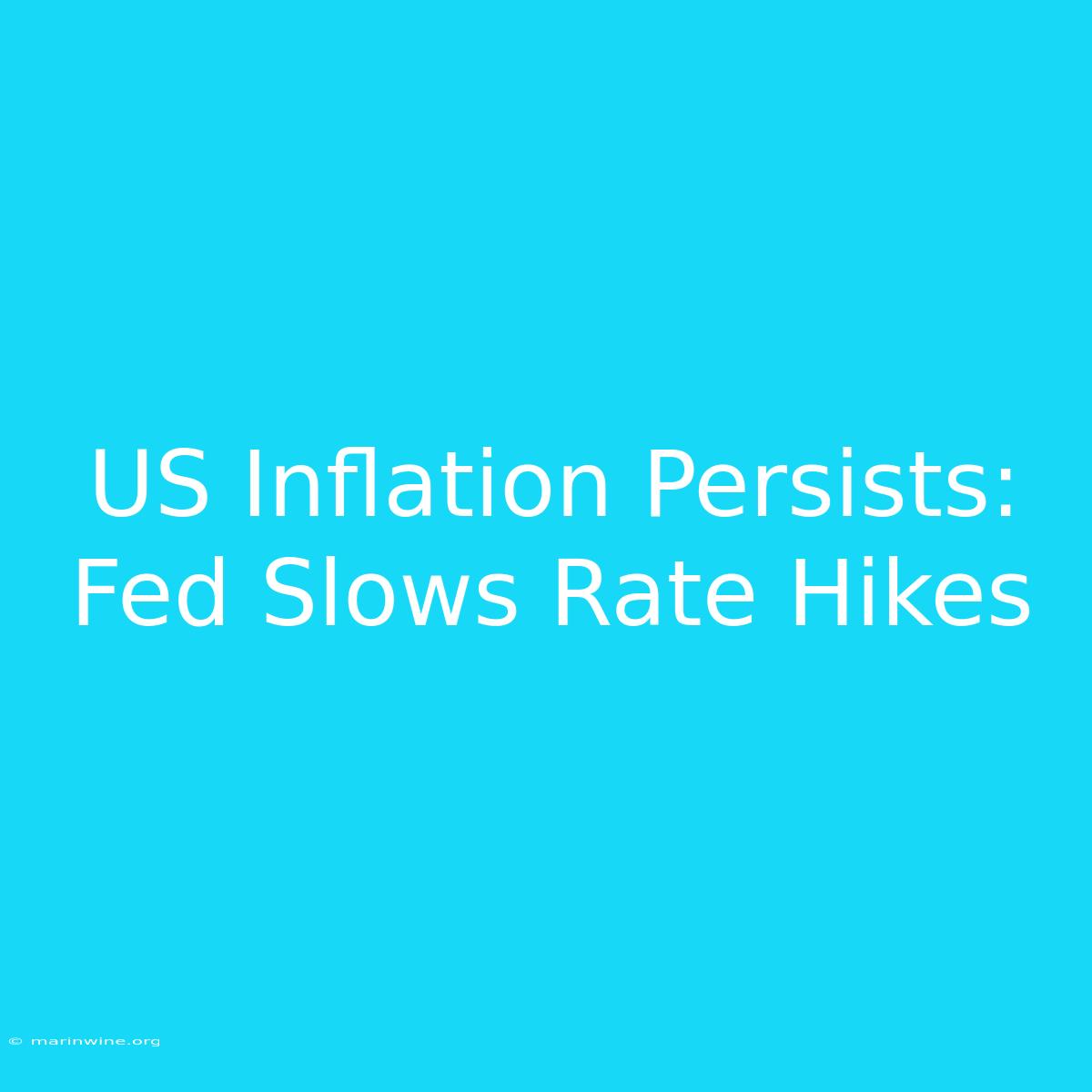 US Inflation Persists: Fed Slows Rate Hikes