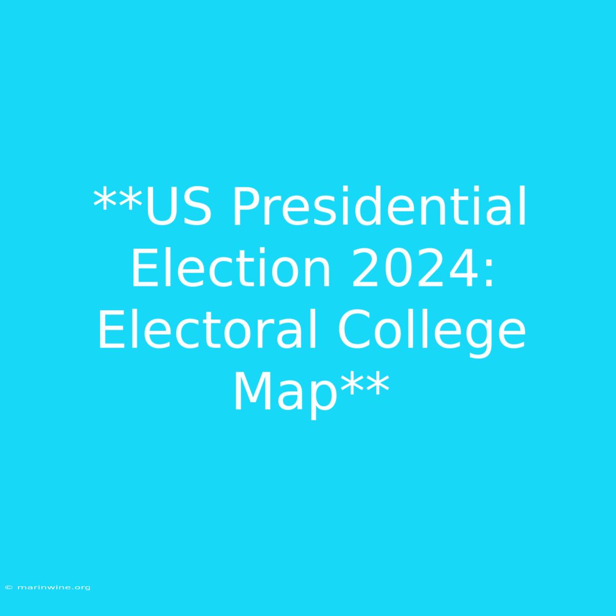 **US Presidential Election 2024: Electoral College Map** 