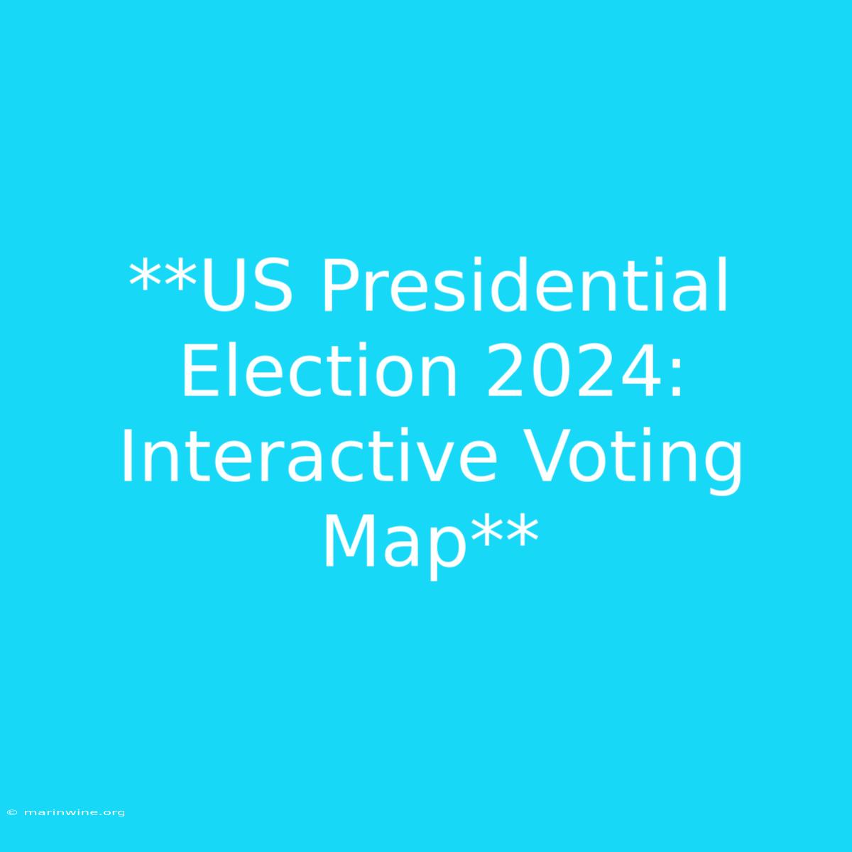 **US Presidential Election 2024: Interactive Voting Map**