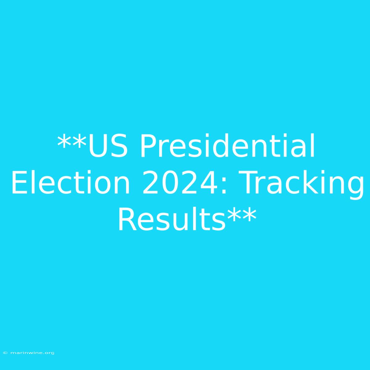 **US Presidential Election 2024: Tracking Results** 