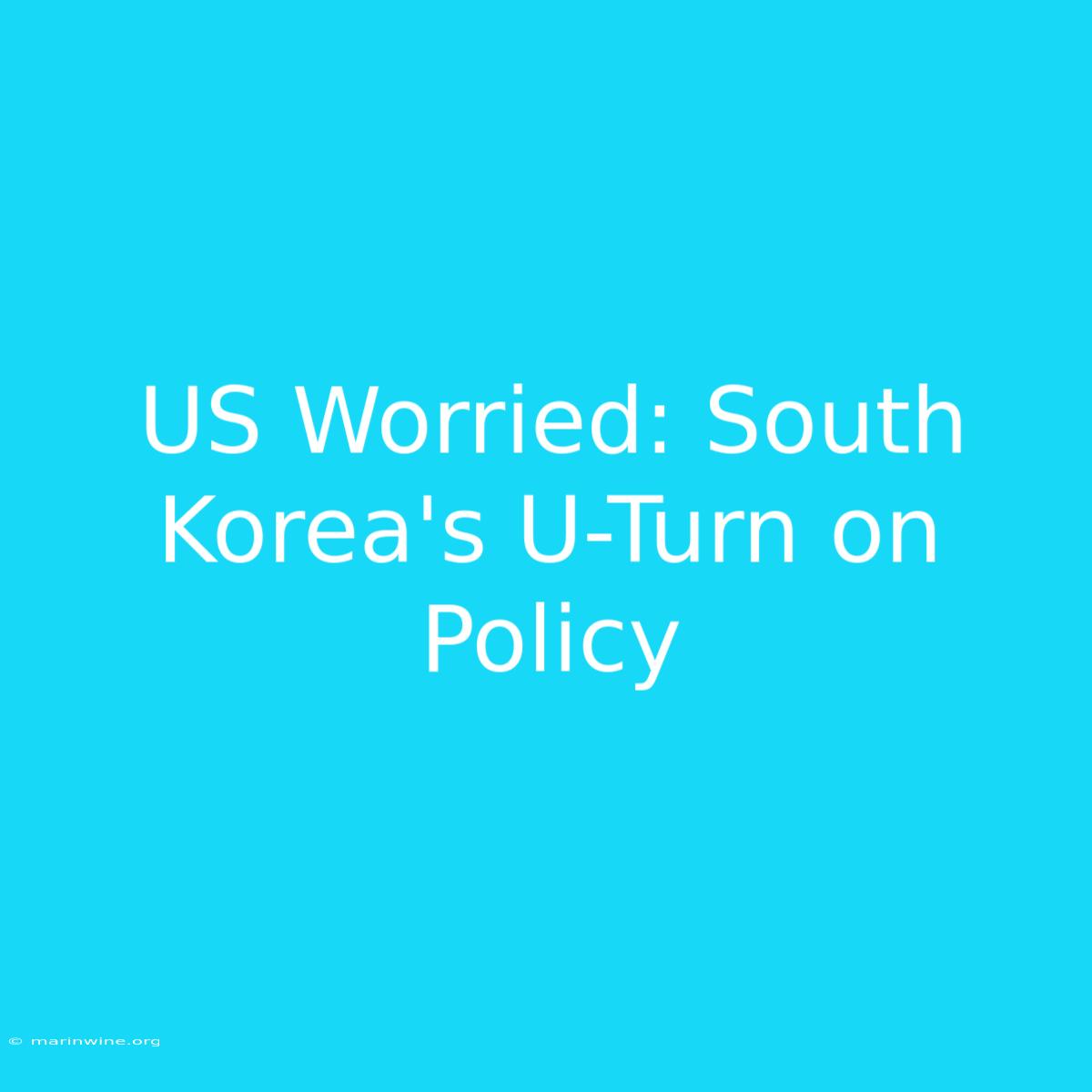 US Worried: South Korea's U-Turn On Policy