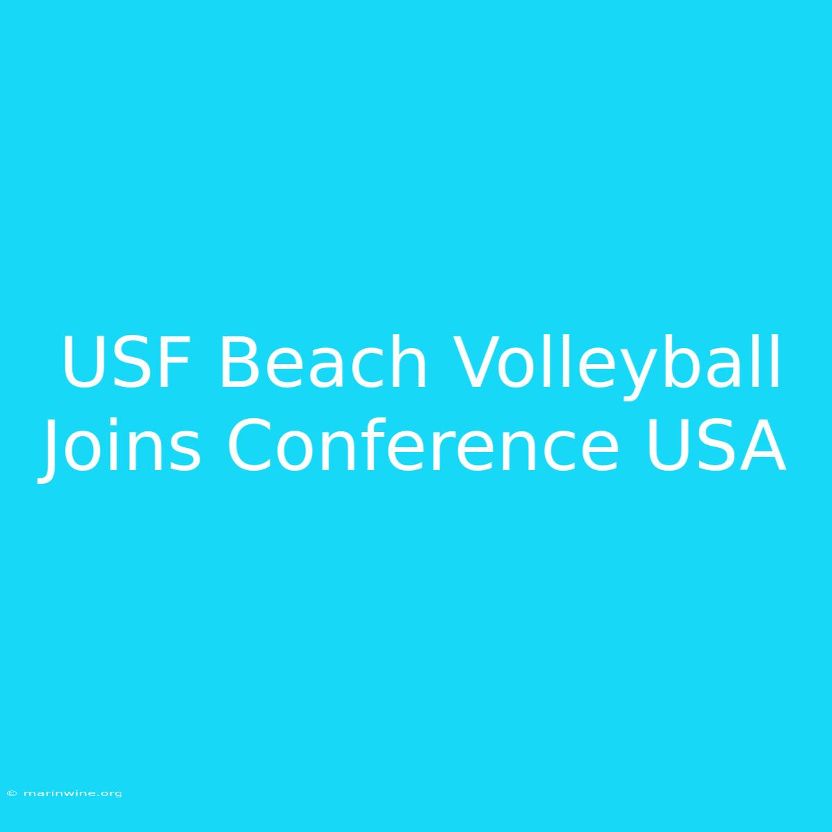 USF Beach Volleyball Joins Conference USA