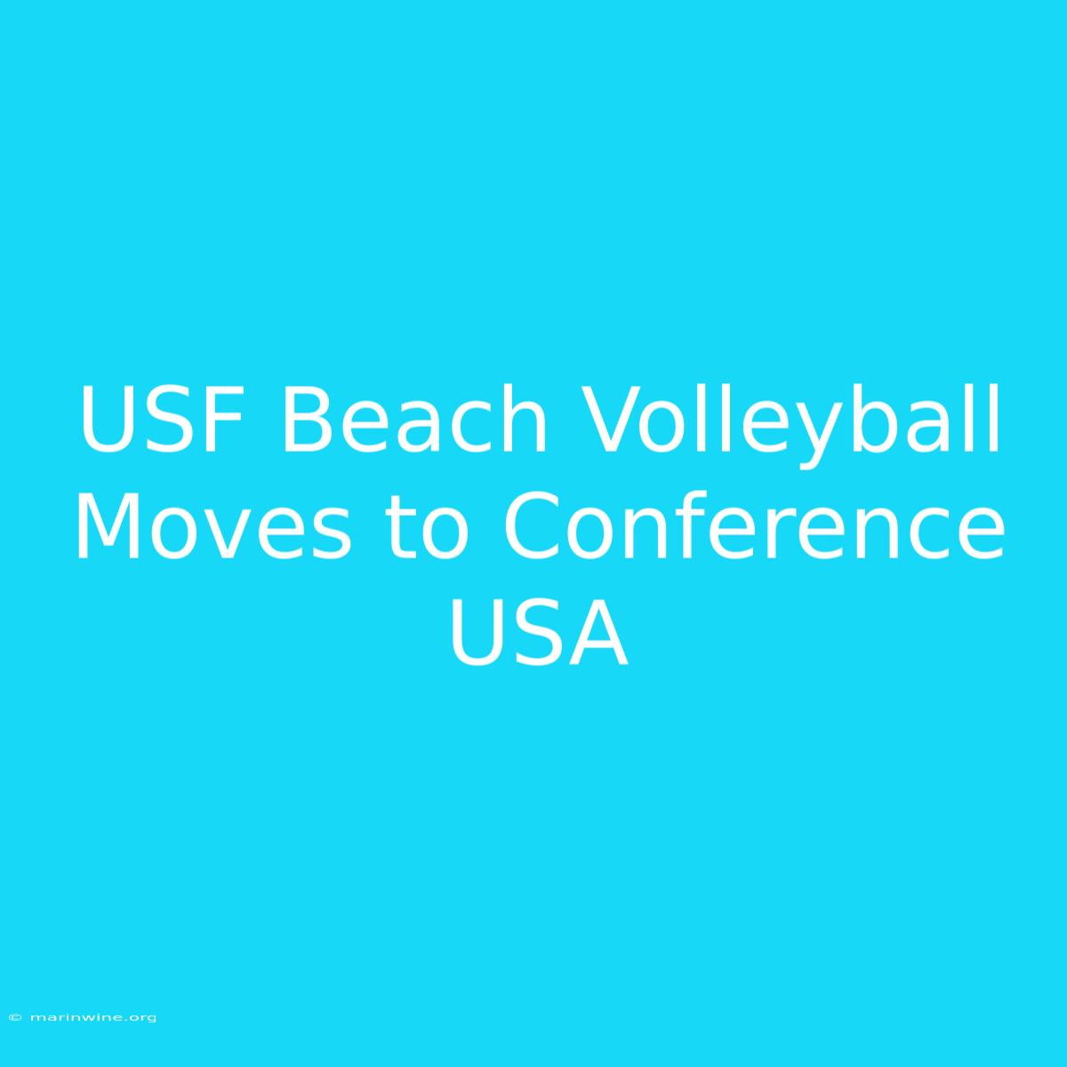 USF Beach Volleyball Moves To Conference USA