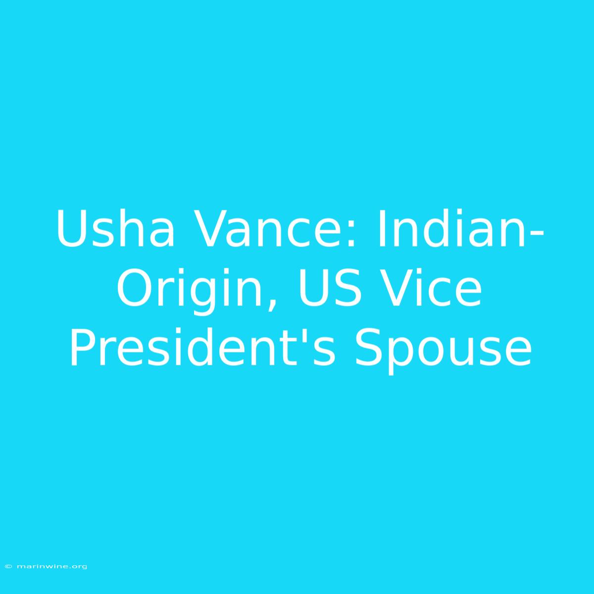 Usha Vance: Indian-Origin, US Vice President's Spouse