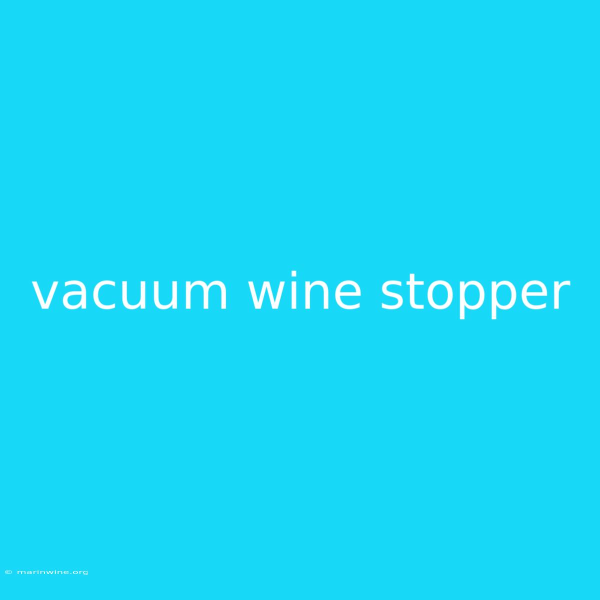 Vacuum Wine Stopper