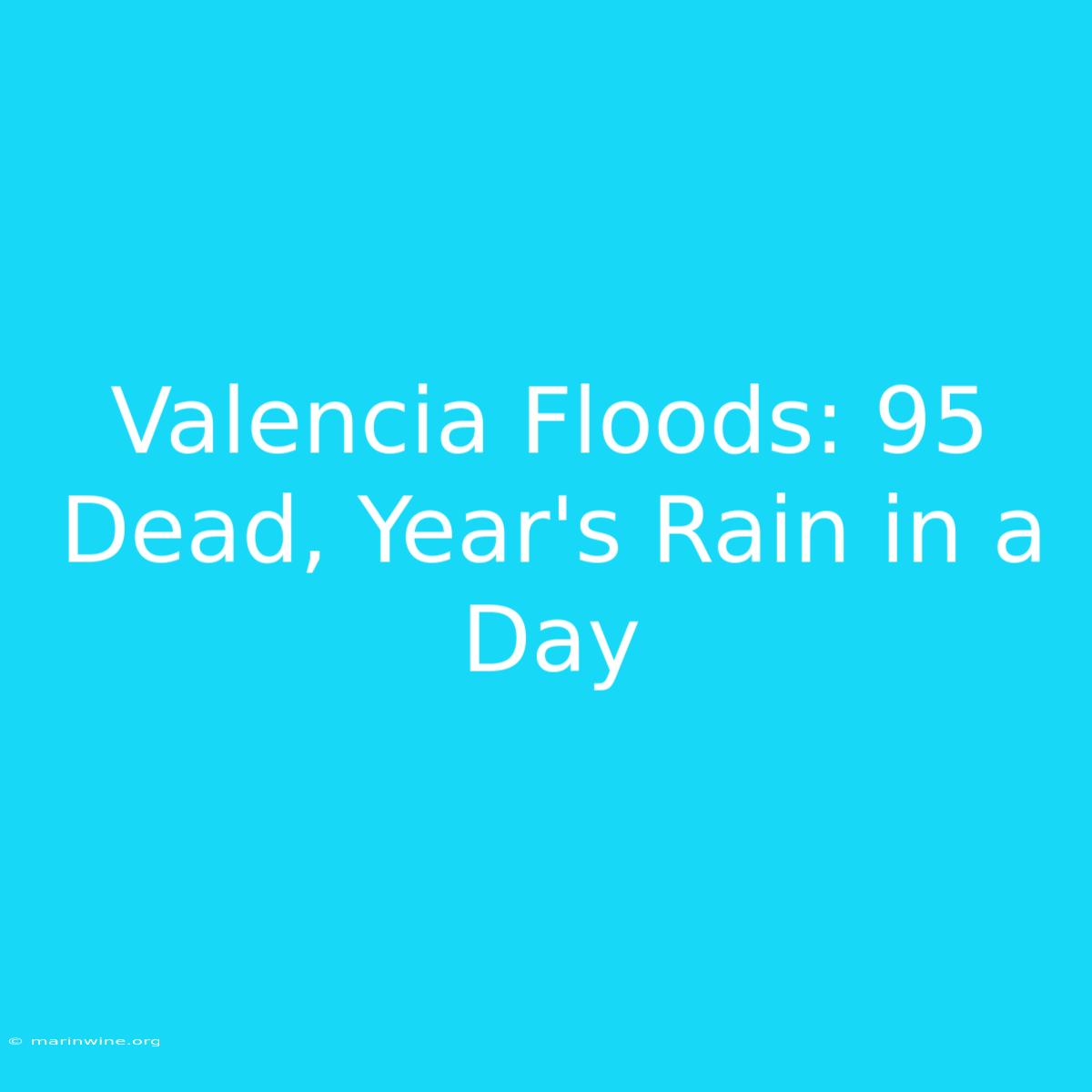 Valencia Floods: 95 Dead, Year's Rain In A Day