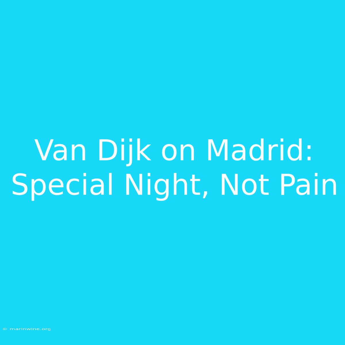 Van Dijk On Madrid: Special Night, Not Pain