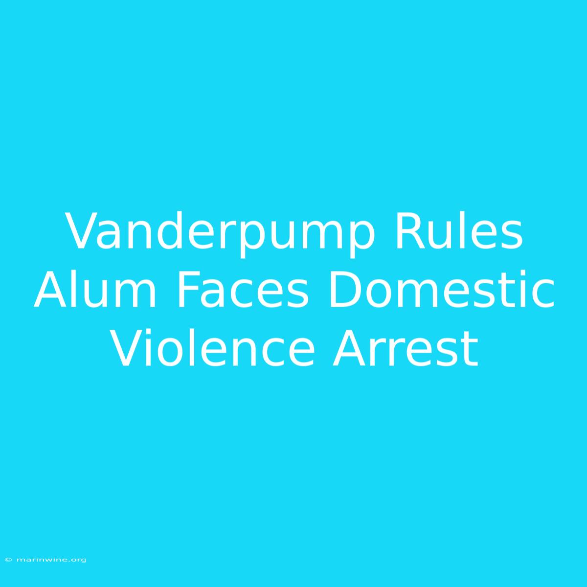 Vanderpump Rules Alum Faces Domestic Violence Arrest