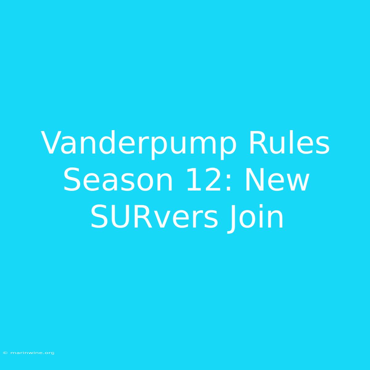 Vanderpump Rules Season 12: New SURvers Join