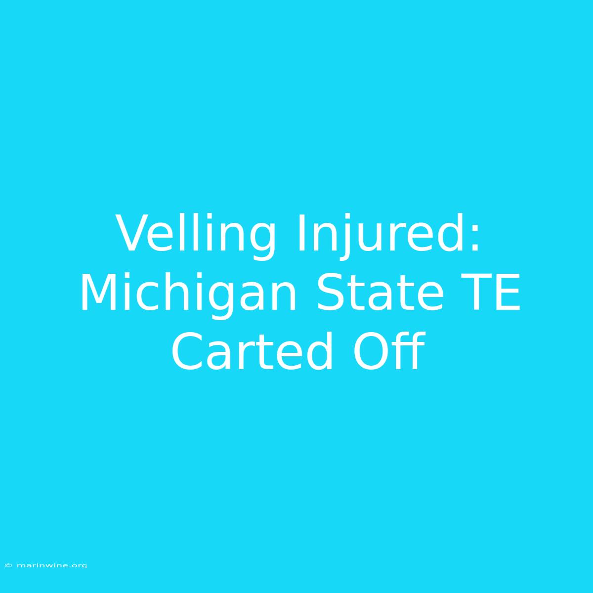 Velling Injured: Michigan State TE Carted Off