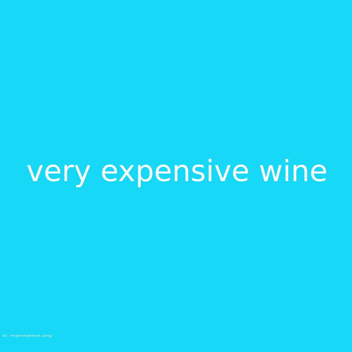 Very Expensive Wine