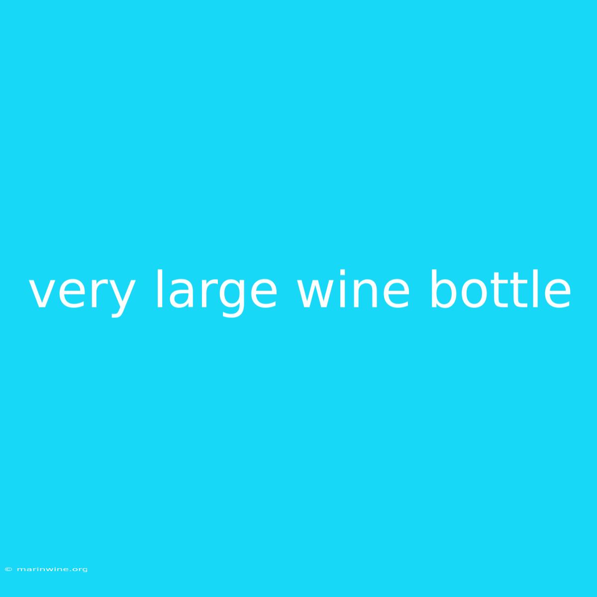 Very Large Wine Bottle