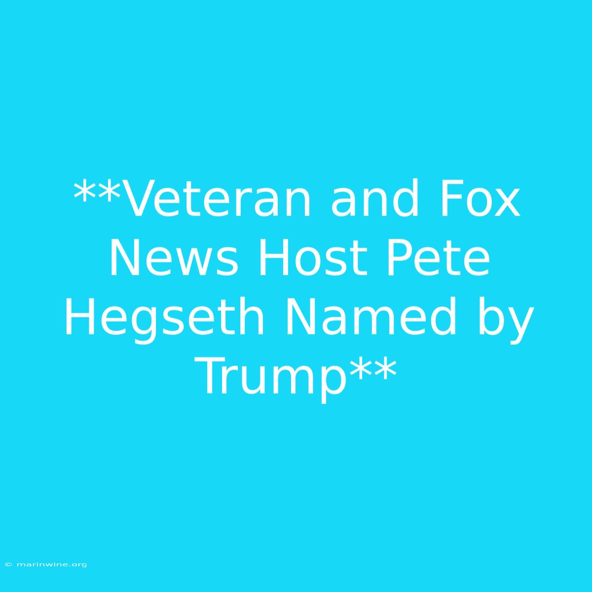 **Veteran And Fox News Host Pete Hegseth Named By Trump**