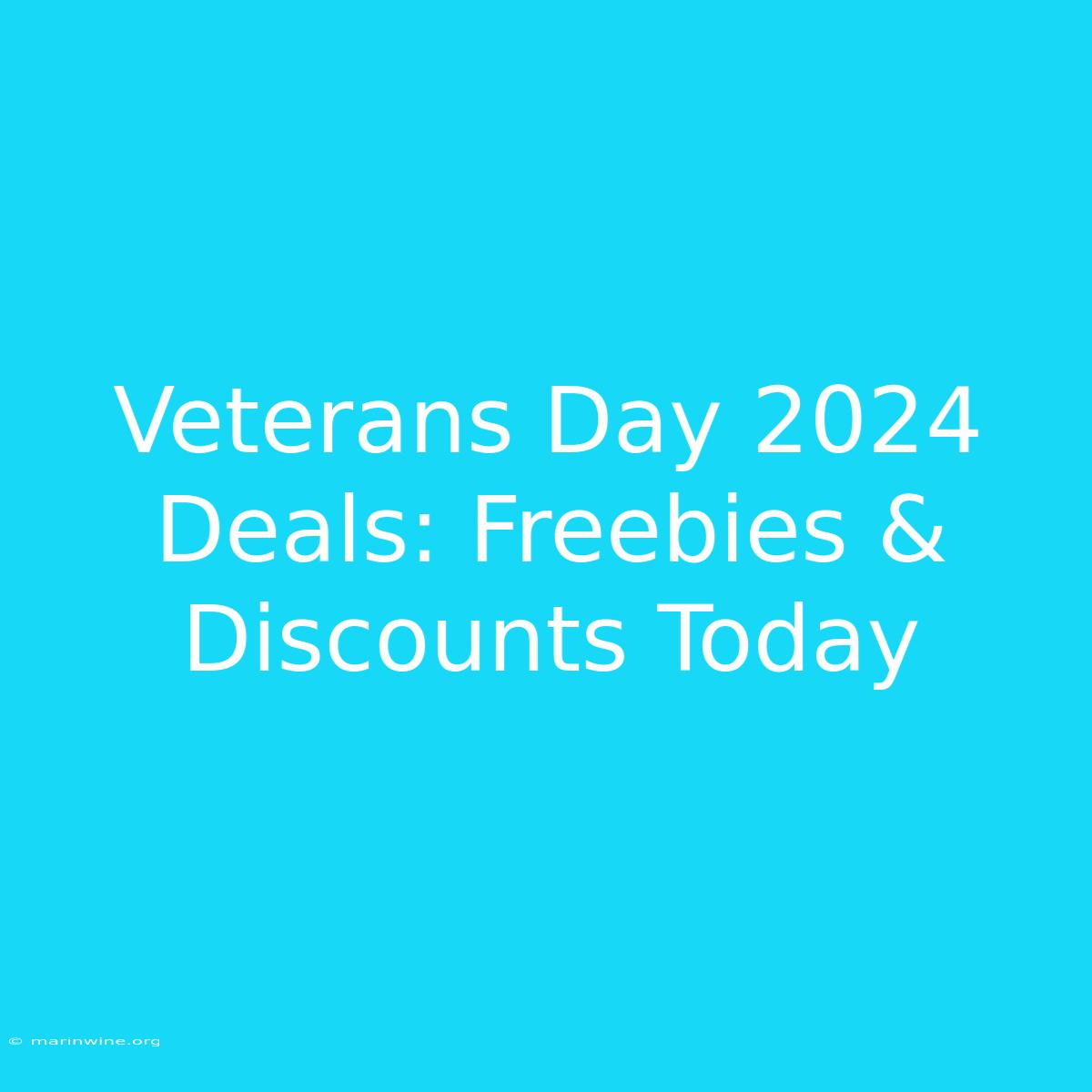 Veterans Day 2024 Deals: Freebies & Discounts Today