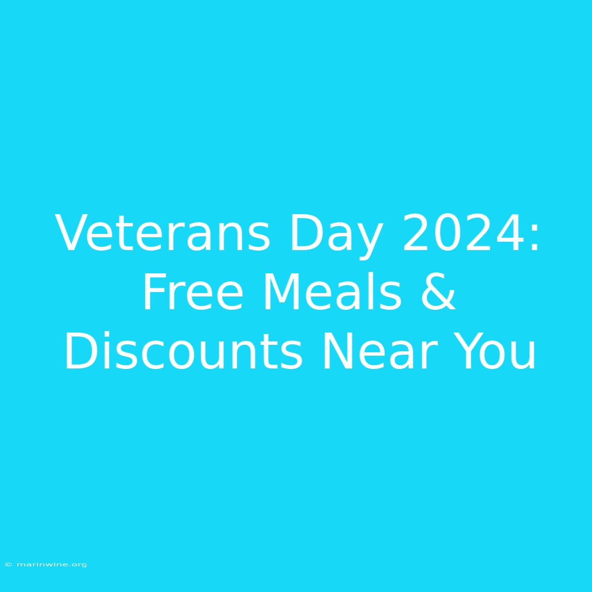 Veterans Day 2024: Free Meals & Discounts Near You