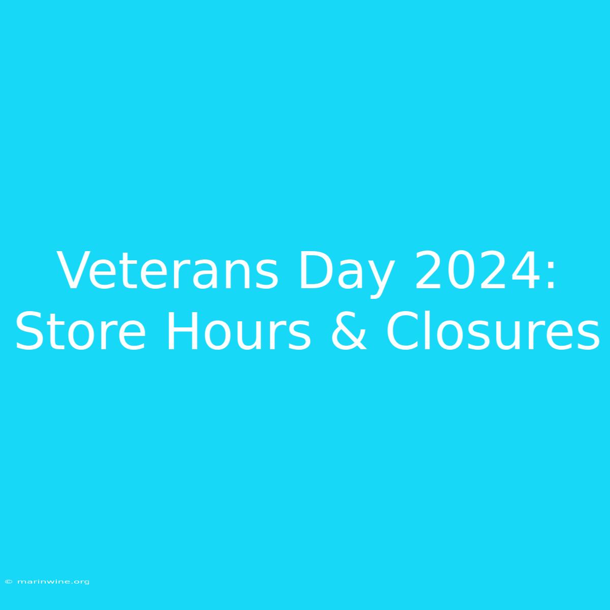 Veterans Day 2024: Store Hours & Closures 