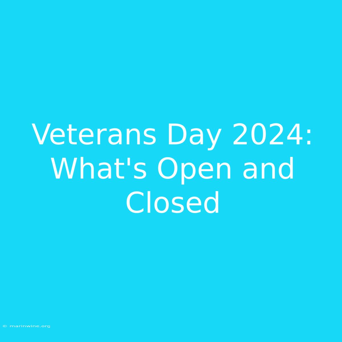 Veterans Day 2024: What's Open And Closed