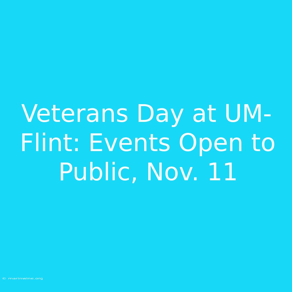 Veterans Day At UM-Flint: Events Open To Public, Nov. 11