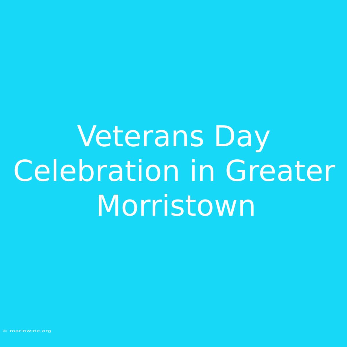 Veterans Day Celebration In Greater Morristown 