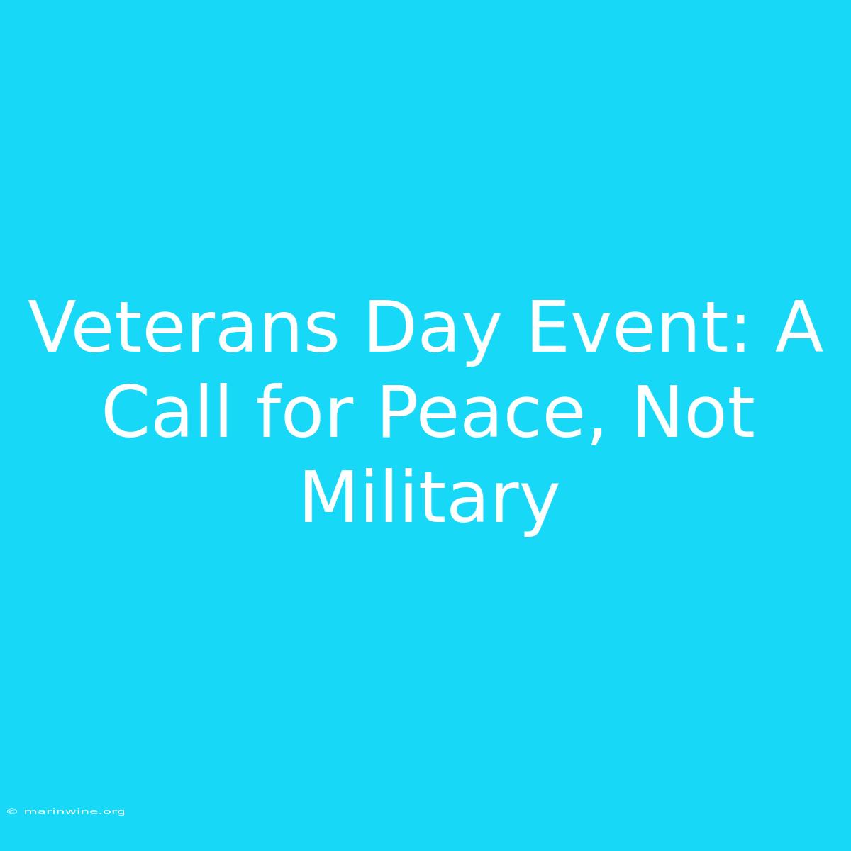 Veterans Day Event: A Call For Peace, Not Military 