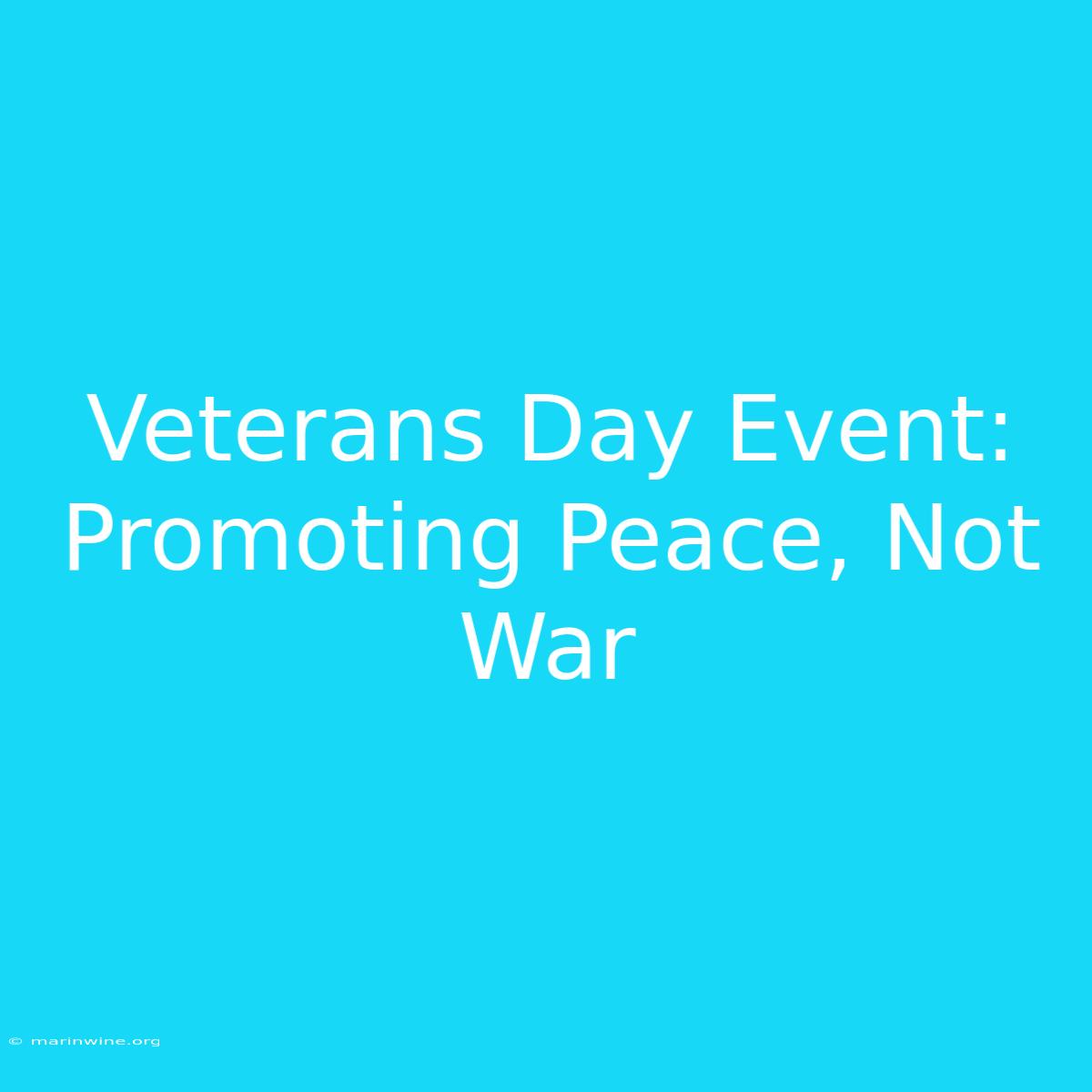 Veterans Day Event: Promoting Peace, Not War